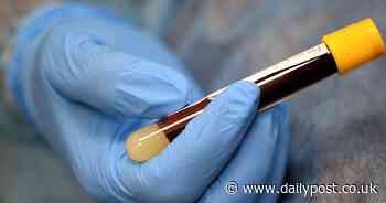 North Wales county becomes first in Wales with Covid-19 infection rate of 1,000 per 100,000 people - North Wales Live