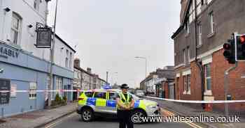 Two more arrested after 'gunshots' incident in Penarth - Wales Online