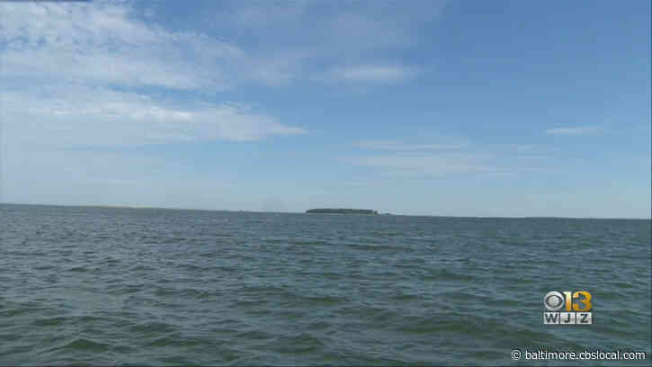 Report: Pennsylvania Falls Behind In Chesapeake Bay Cleanup