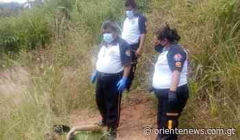 Encuentran cadáver de sexagenario en San Antonio La Paz, El Progreso - Periódico Oriente News