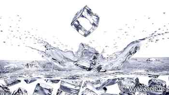 4,99 pro Kilo – das Millionen-Geschäft mit den Eiswürfeln