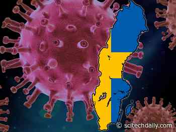 Herd Immunity to COVID-19 Fails to Materialize in Sweden