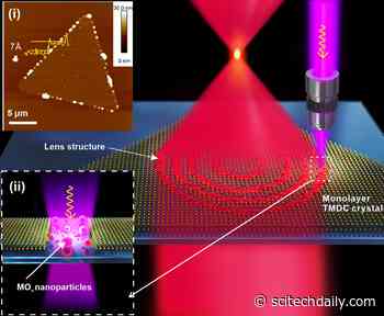 Ultrathin Flat Lenses for High Resolution Imaging Using Monolayer Transition Metal