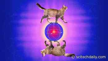 Quantum Researchers Create an Error-Correcting Cat – New Device Combines Schrödinger’s Cat With Quantum Error Correction