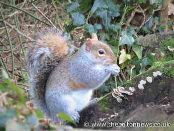 Brilliant images from the Bolton News Camera Club to enjoy