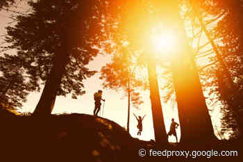 Science Projects for Nature-Loving Kids to do Outdoors or Online