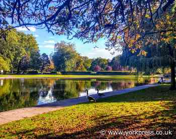 Live music returns to Rowntree Park in York