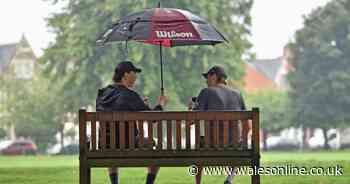 Met Office warns of more thunderstorms this weekend