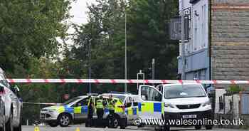 Boy, 16, charged after Penarth incident which prompted armed police response