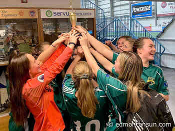 Edmonton soccer looking to get back indoors this winter - Edmonton Sun