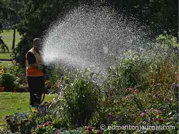 Edmonton weather: Slowly but surely, it's heating up - Edmonton Journal