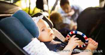 Parents warned over potentially dangerous child seats in hire cars