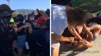 Trump Supporters and Black Lives Matter Protesters Get in Massive Fight