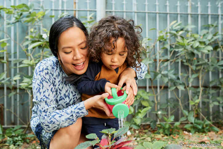 How to improve how you water your garden and potted plants