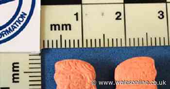 Police warning over dangerous Donald Trump shaped pills