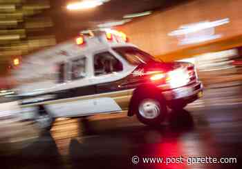 Lawrence County man dies in fall behind his Bessemer home