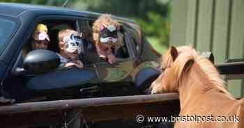 Avon Valley wildlife park announces 'difficult' changes to secure its future