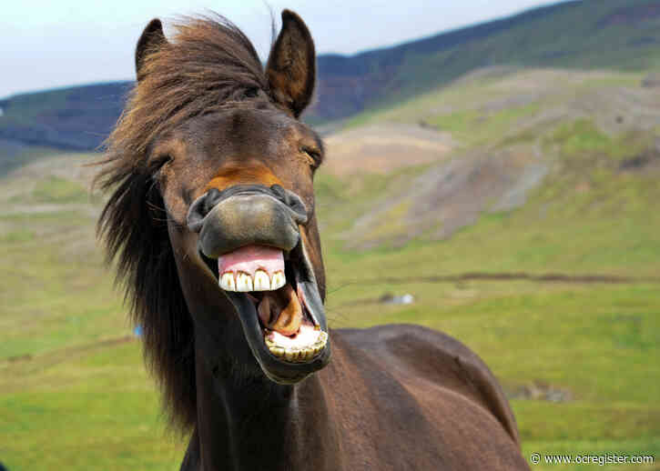 Want to hear something funny? Laughter is beneficial for good health