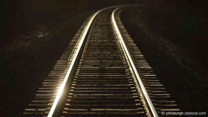 Mother Counts Her Blessings After Train Nearly Hits 9-Year-Old Autistic Son