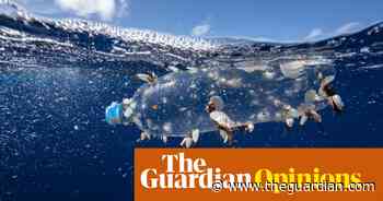 The plastic we use unthinkingly every day is killing our planet – and slowly but surely killing us | Andrew Paris