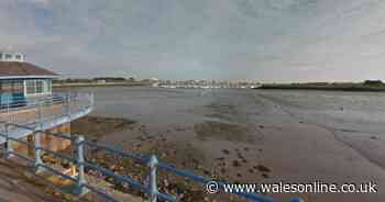 Police officer dies after falling from jet ski