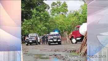 Más de 75 personas fueron sorprendidas en Bugaba en gallera clandestina - Telemetro