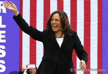 How the Kamala Harris pick is playing with Indian Americans, a fast-growing and influential voting bloc