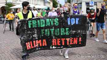 Das Internet-Problem von Fridays for Future