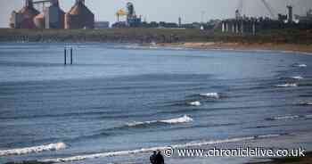 Passionate People, Passionate Places: seduced by the North East coast