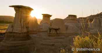 Heat warnings issued for central, southern Alberta on Saturday