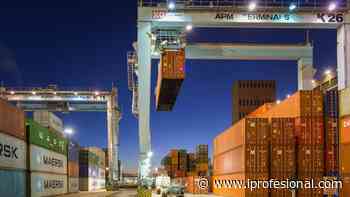 APM Terminals Buenos Aires recibió buque de Maersk con insumos médicos - iProfesional.com