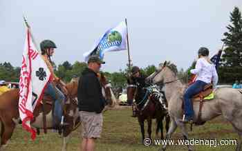Wadena, East Otter Tail 4-Hers enjoy horse show together - Wadena Pioneer Journal