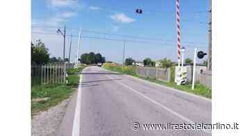 "L’erba è più alta dei furgoni e copre il passaggio a livello: la Provincia che fa?" - il Resto del Carlino