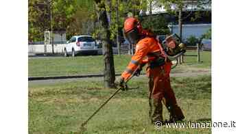 "Tagliate l’erba Non solo decoro è sicurezza" - LA NAZIONE