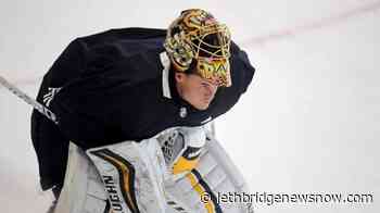 Bruins goalie Rask opts out of playoffs to be with family - Lethbridge News Now