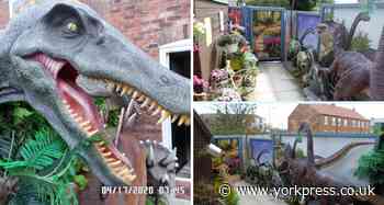 "I love dinosaurs so much I turned my garden into Jurassic Park"