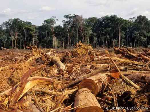 You may have unknowingly invested in unethical industries, even if most of your choices are eco-friendly