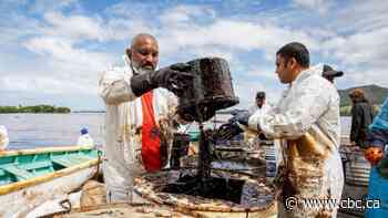 How Mauritians in Canada are trying to help their island community recover from massive oil spill