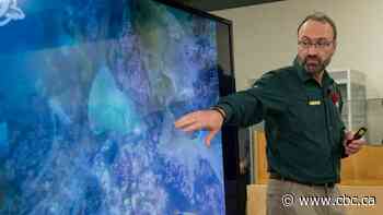 COVID-19 stalls further exploration of Franklin wrecks