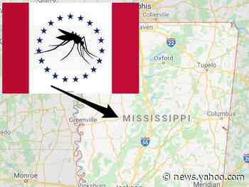 A Mississippi flag design inspired by the state's unofficial pest — the mosquito — was accidentally listed as a semi-finalist due to a 'typo'