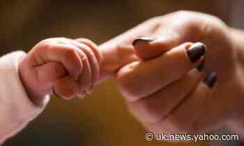 Millennials are exploring motherhood – in a new generation of books