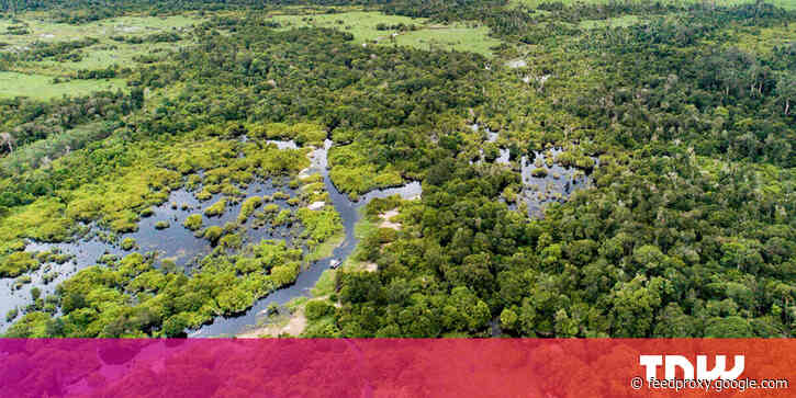 Here’s why you need to start worrying about the world’s frozen peatlands