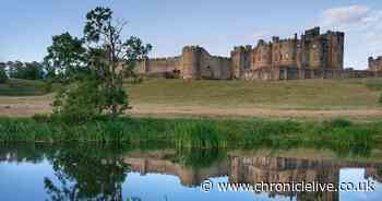 Alnwick Castle reopens State Rooms and resumes Harry Potter activities