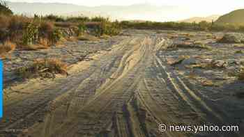 Gunmen kill son of legendary Mexican drug capo Amado Carrillo