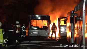 Drei Busse abgebrannt - Feuerwehr verhindert Waldbrand bei Seddin - rbb24
