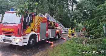 Sturmeinsatz für die Feuerwehr: Geflutete Keller und umgestürzte Bäume - Neue Westfälische