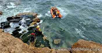 Man and his dog rescued after getting trapped at bottom of cliff at Whitburn