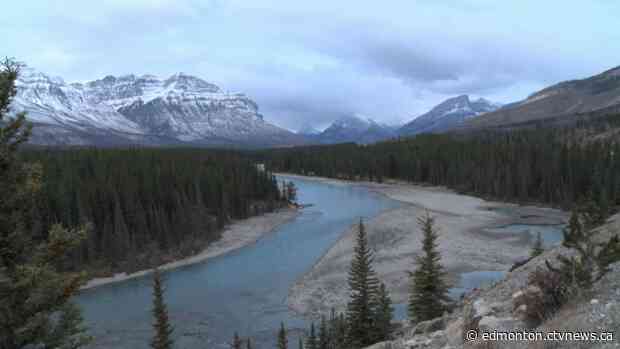 'Busy, busy summer:' Rescue agencies see more calls as people keep close to home