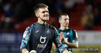 Woodman secures Swansea loan return after signing Newcastle contract