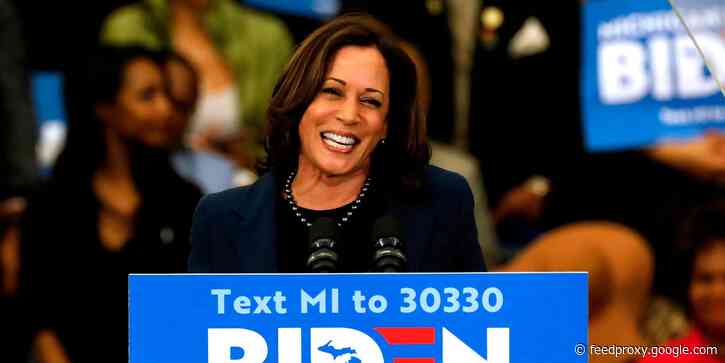 Kamala Harris supports $2,000 monthly stimulus checks to help Americans claw out of pandemic ruin — and she's long backed plans for Democrats to give people more money